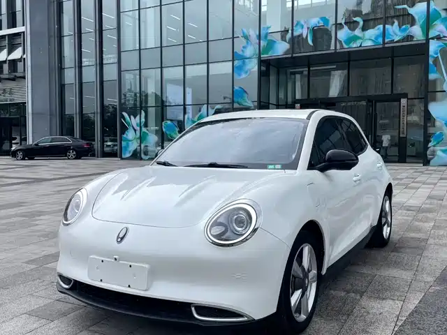  Ora Ora Good Cat 2022 400km Standard Range Premium LFP