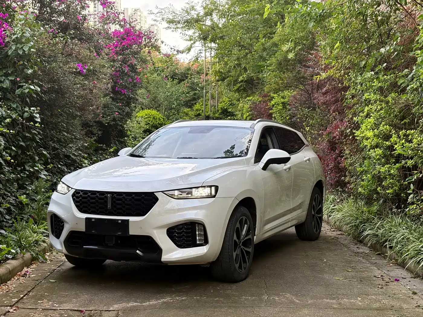 WEY VV7 2017 2017 2.0T Super Luxury