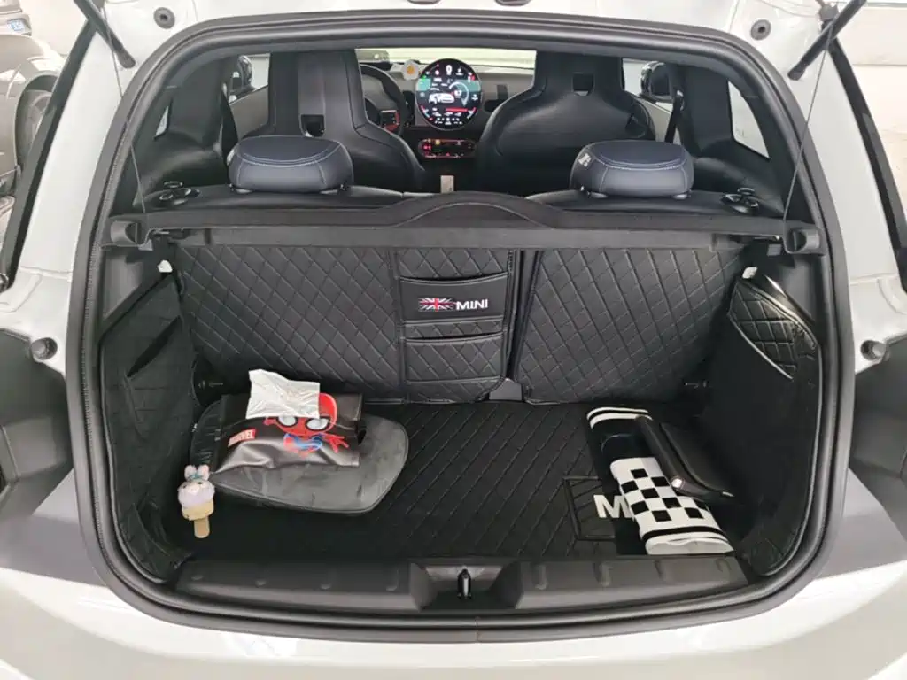 MINI MINI 2026 2025 2.0T COOPER S Artist
