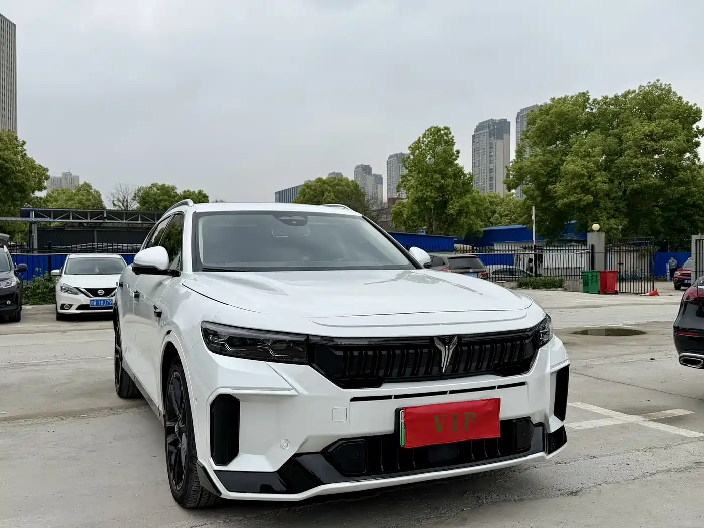 Voyah Auto VOYAH FREE 2024 Ultra Long Range Intelligent Driving Edition фото 5