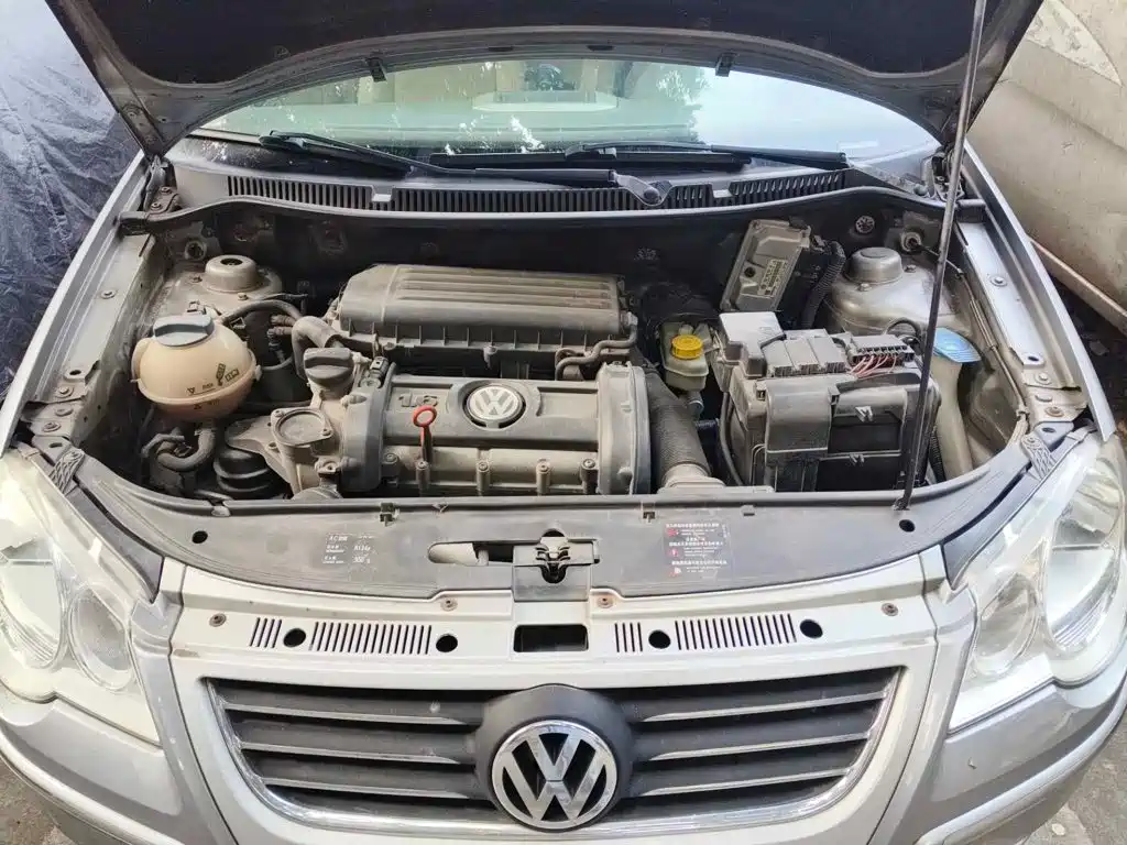 Volkswagen Polo 2007 2006 Polo Sedan 1.6L Manual Elegance