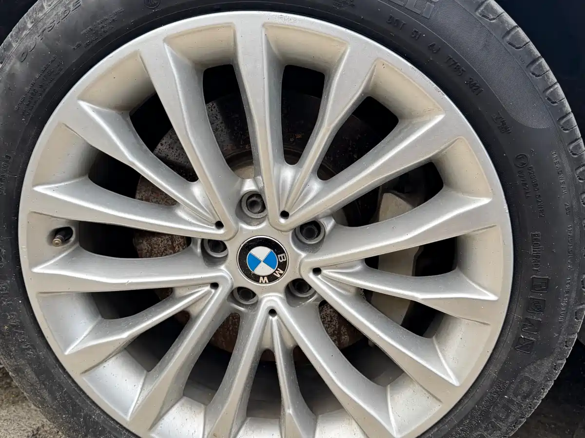 BMW 5 Series 2020 530Li Leading Luxury Package фото 12