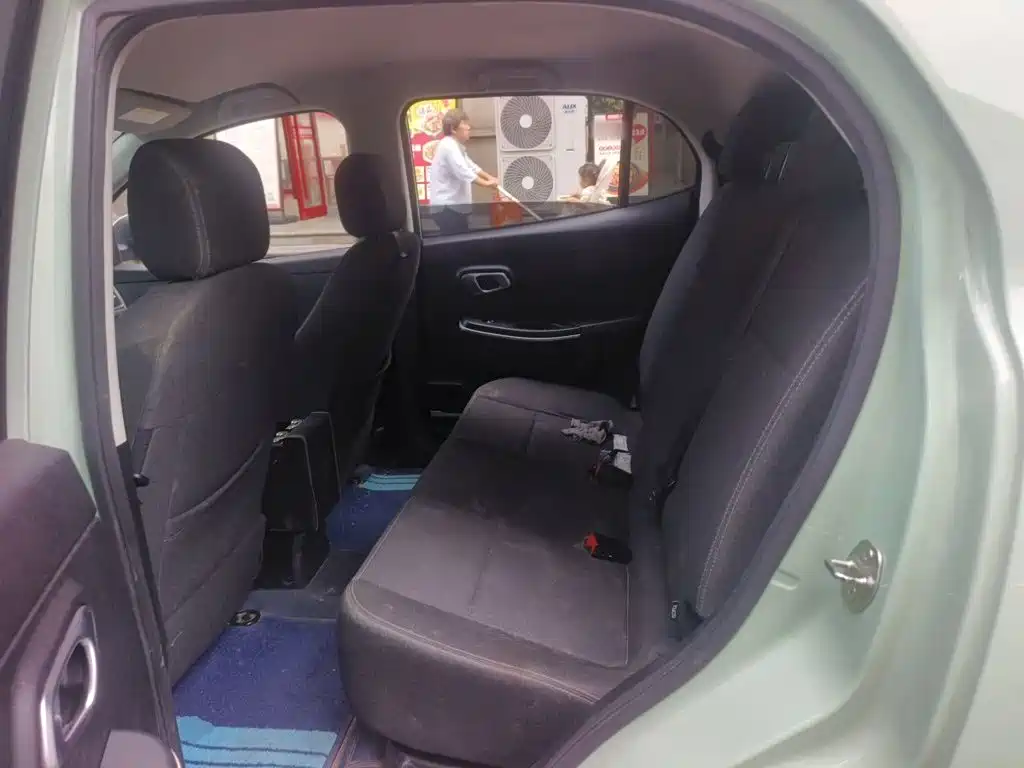 Dayun Yuehu 2024 2022 30.66kWh 2WD Standard Edition