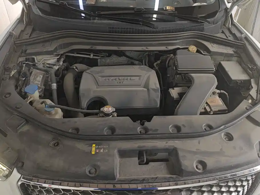 Haval H2s 2018 2018 Red Label 1.5T DCT Luxury Model
