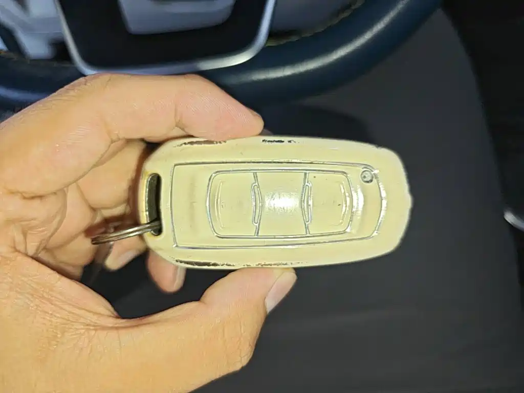 Geely Geometry EX3 Kung Fu Bull 2022 2021 Kung Fu Niu Niu