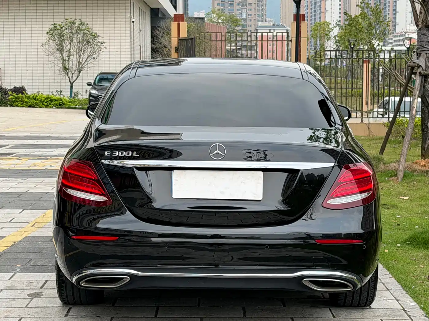 Mercedes-Benz E-Class 2020 E 300 L Fashion фото 5