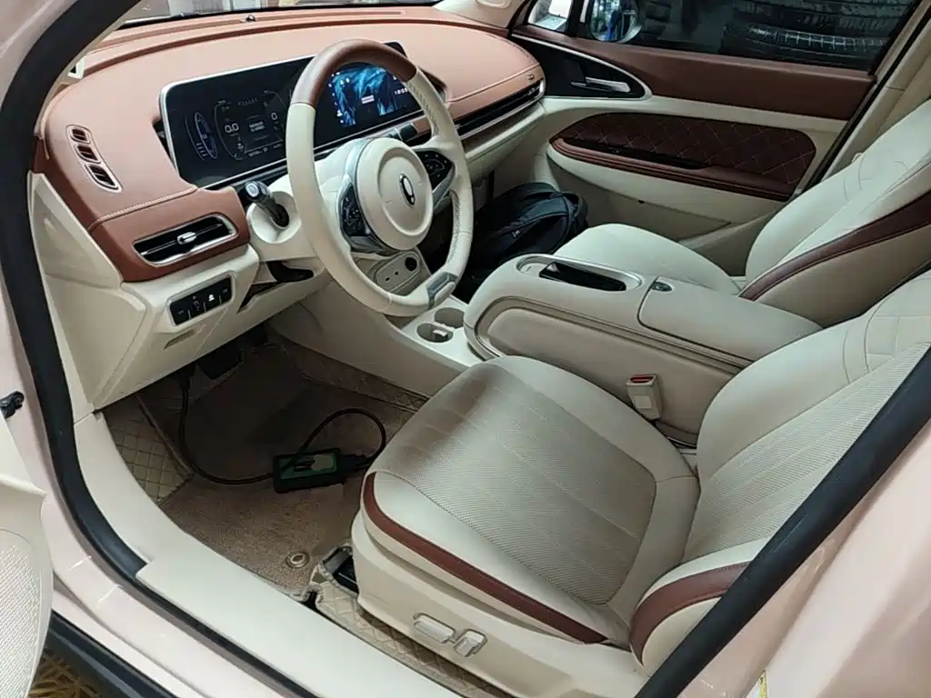 Ora Good Cat 2023 2023 401km Standard Range Honor Edition (LFP)