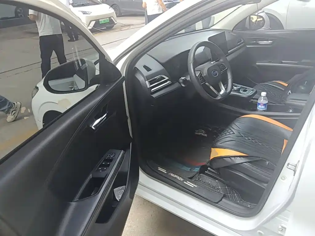 BYD e2 2019 2019 Standard Range Intelligent Comfort