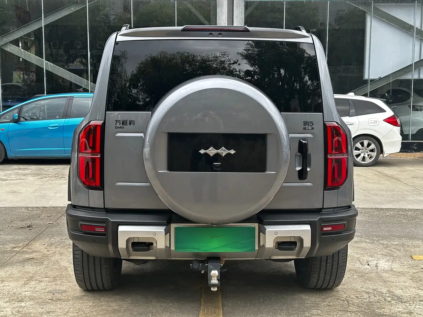 FANG CHENG BAO LEOPARD 5