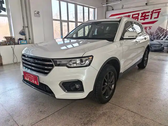  Haval Haval H7 2021 2.0T Smart