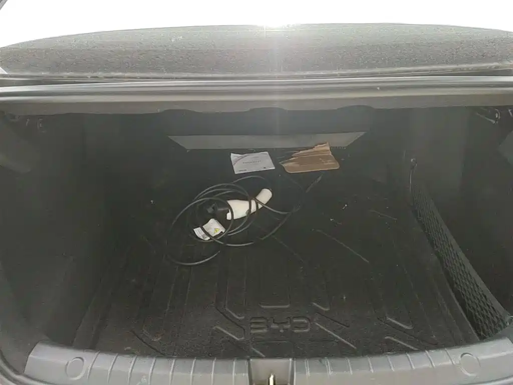 BYD Destroyer 05 2024 Glory Edition DM-i 55KM Luxury фото 19