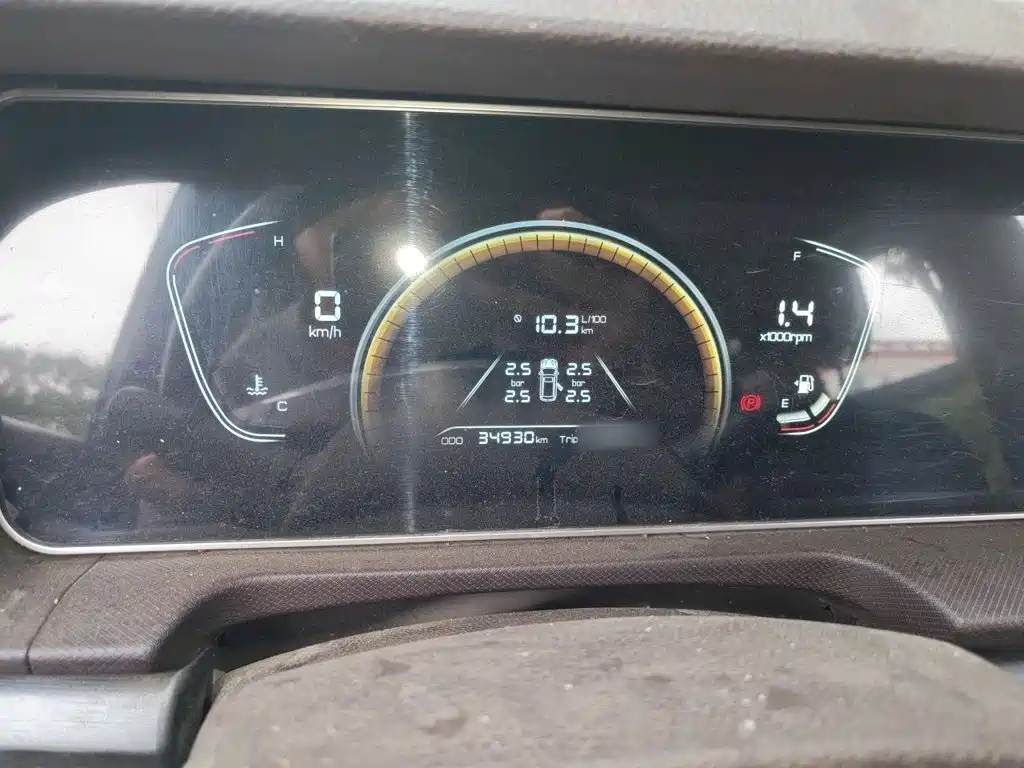 2023 BAW (Beijing Automobile Works) Ruisheng Ace M7