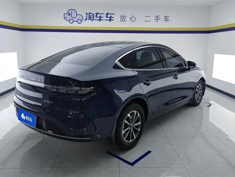 BYD Destroyer 05 2024 Glory Edition DM-i 55KM Luxury фото 3