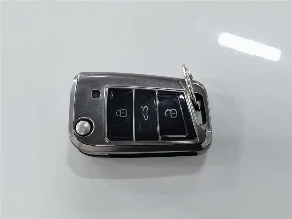 Volkswagen Tanying 2021 1.5L Automatic Smart Connect Edition фото 19