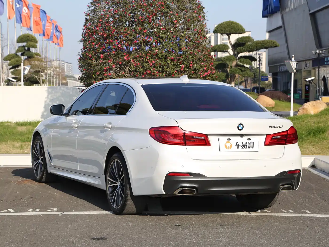 BMW 5 Series 2020 530Li Leading M Sport Package фото 19