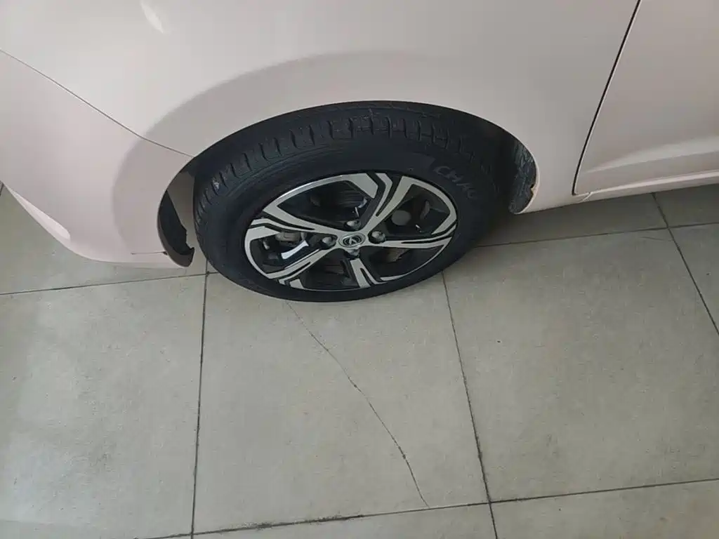 صورة 23 - Changan Oshan Benben E-Star