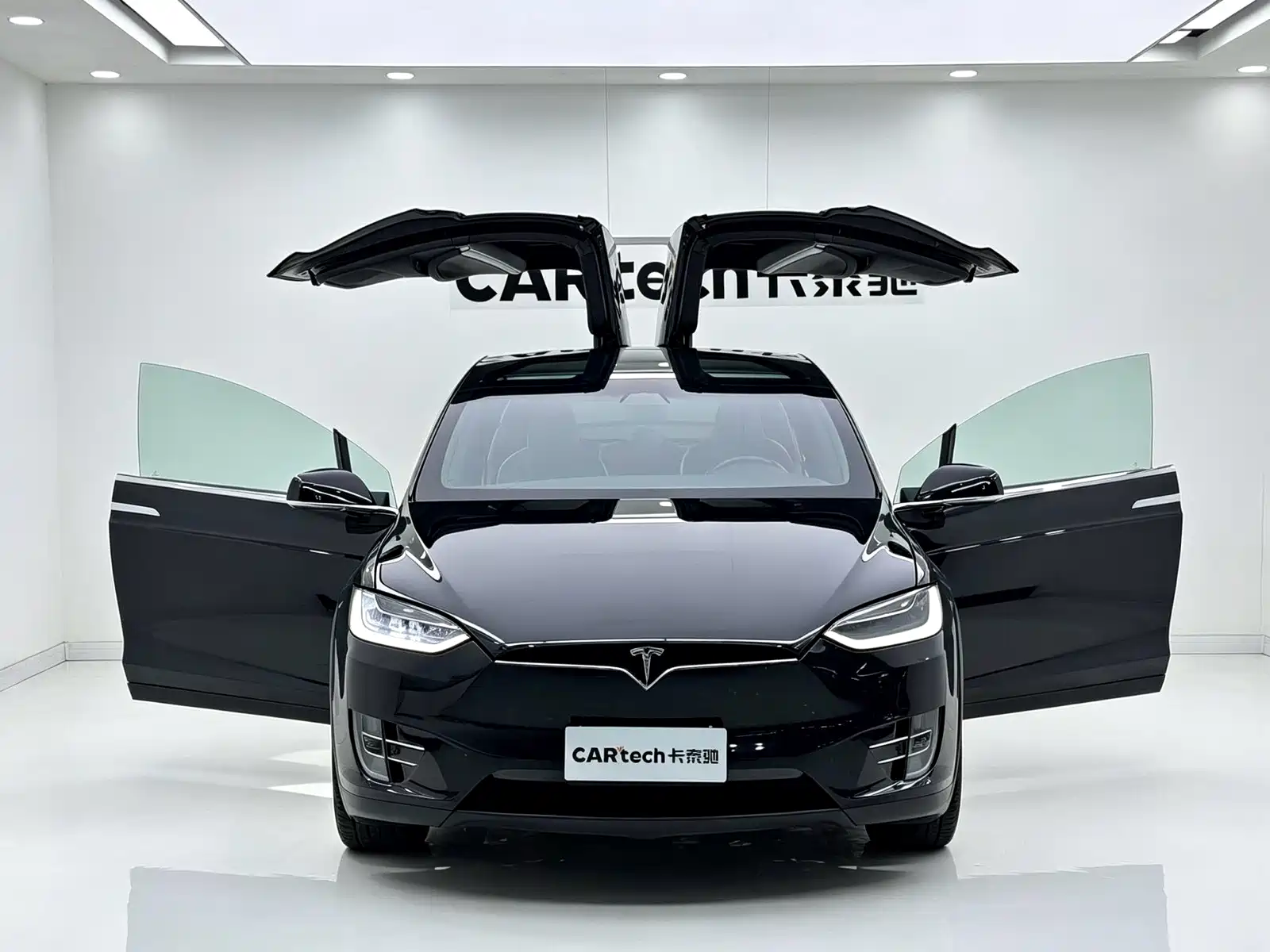Фото 3 - Tesla Model X