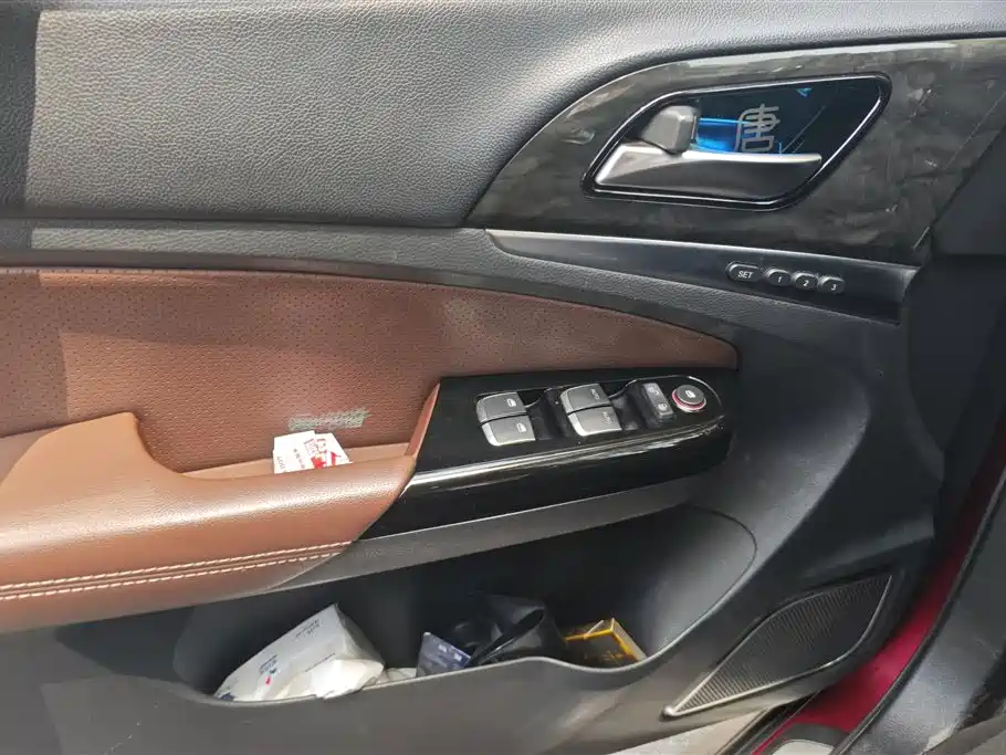 BYD Tang New Energy 2015 2.0T 4WD Flagship фото 7