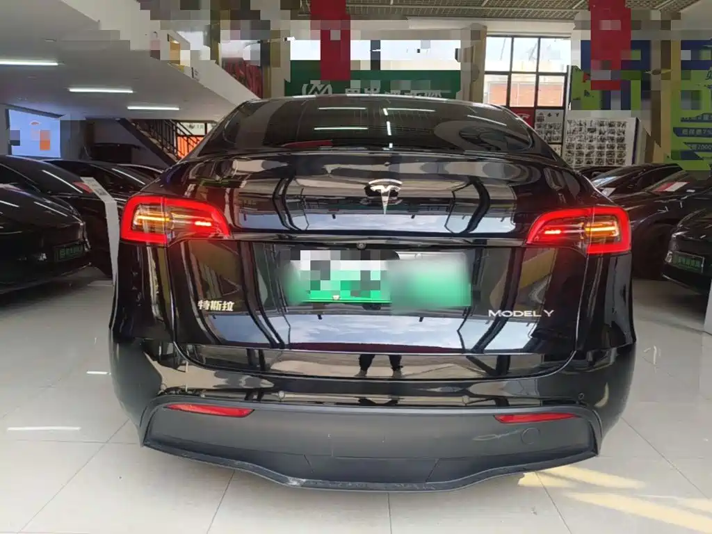 Tesla Model Y 2021 2021 Long Range All-Wheel Drive 3D7