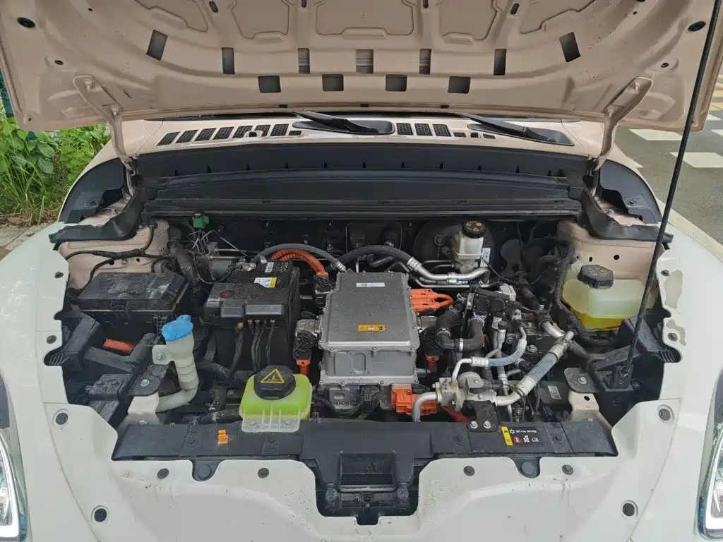 Ora Ballet Cat 2024 2023 401km Premium Model