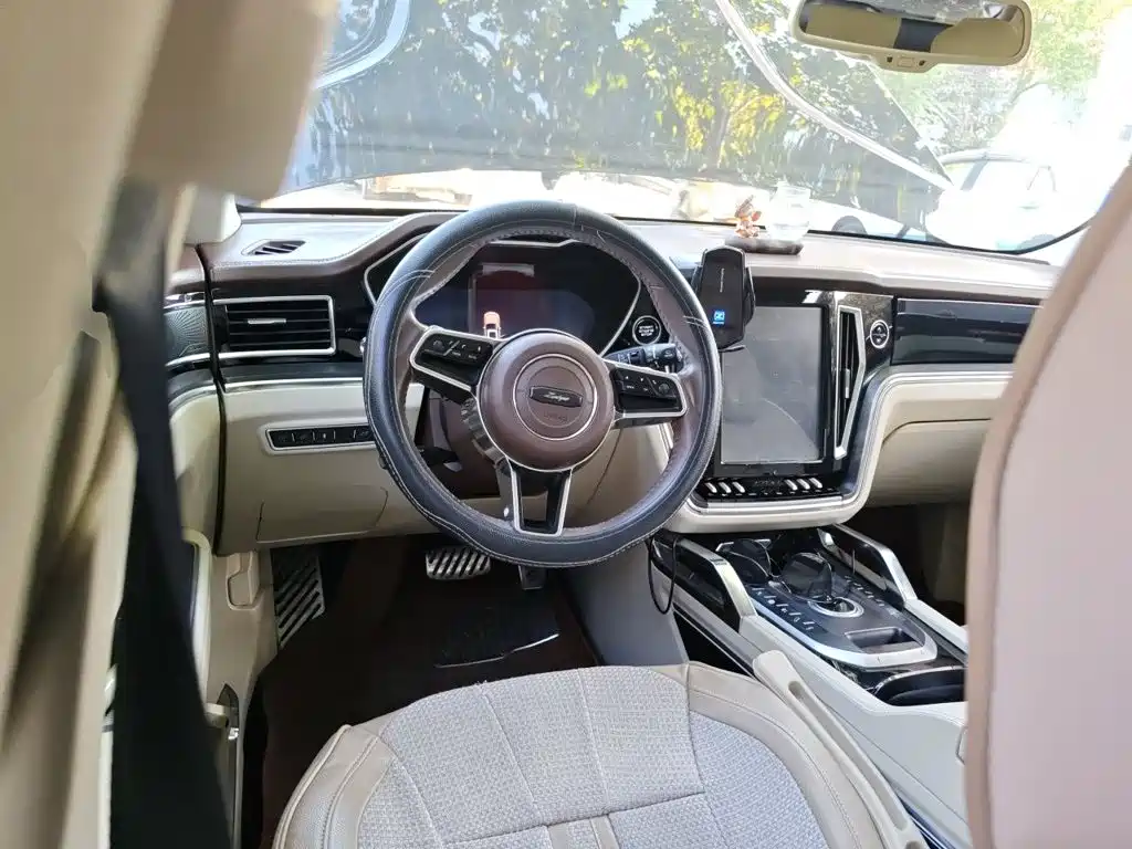 صورة 6 - Zotye T700