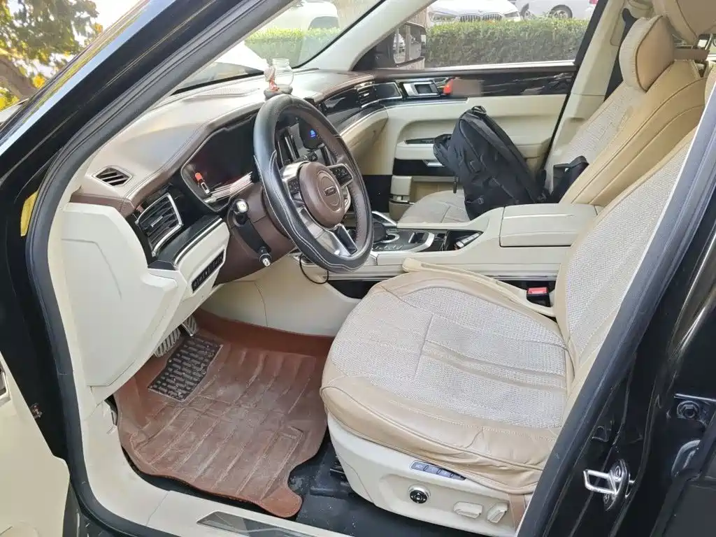 صورة 12 - Zotye T700