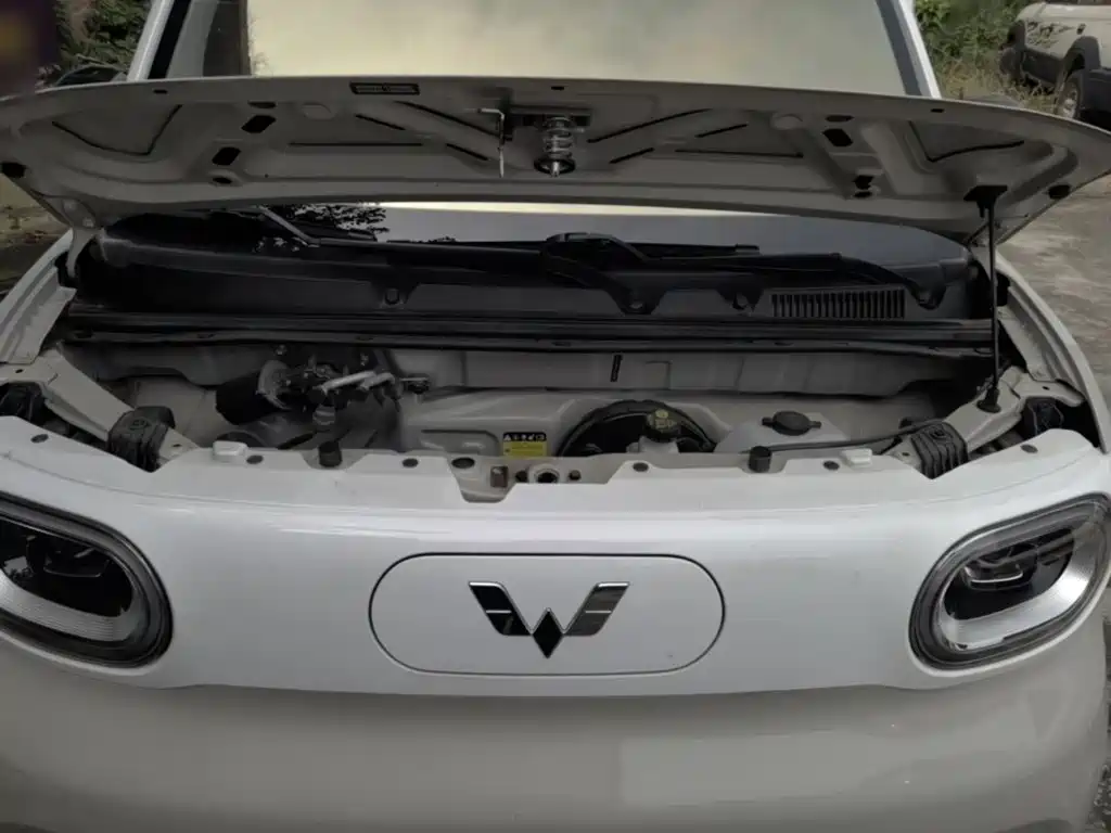 Фото 20 - Wuling Motors Hongguang MINIEV