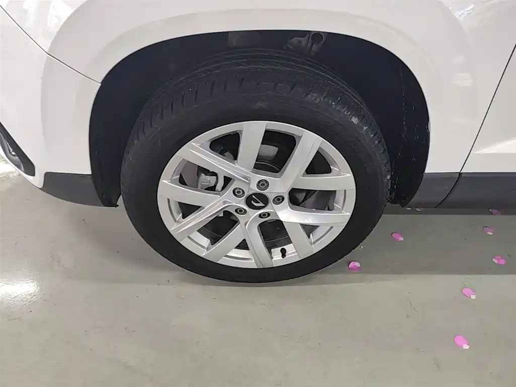 Фото 23 - Jetta VS5