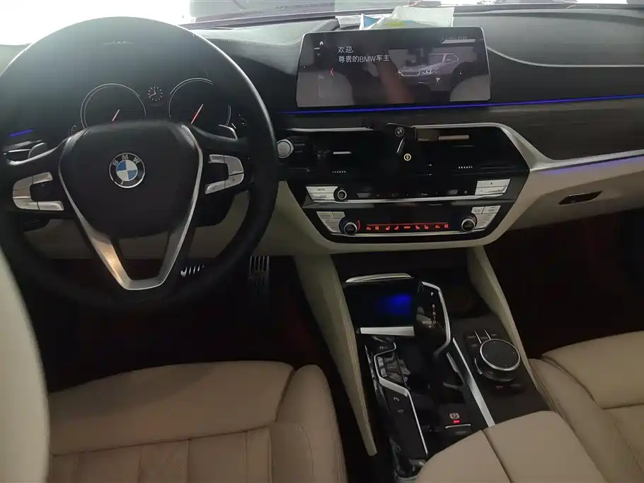 BMW 5 Series 2018 530Li xDrive Luxury Package фото 12