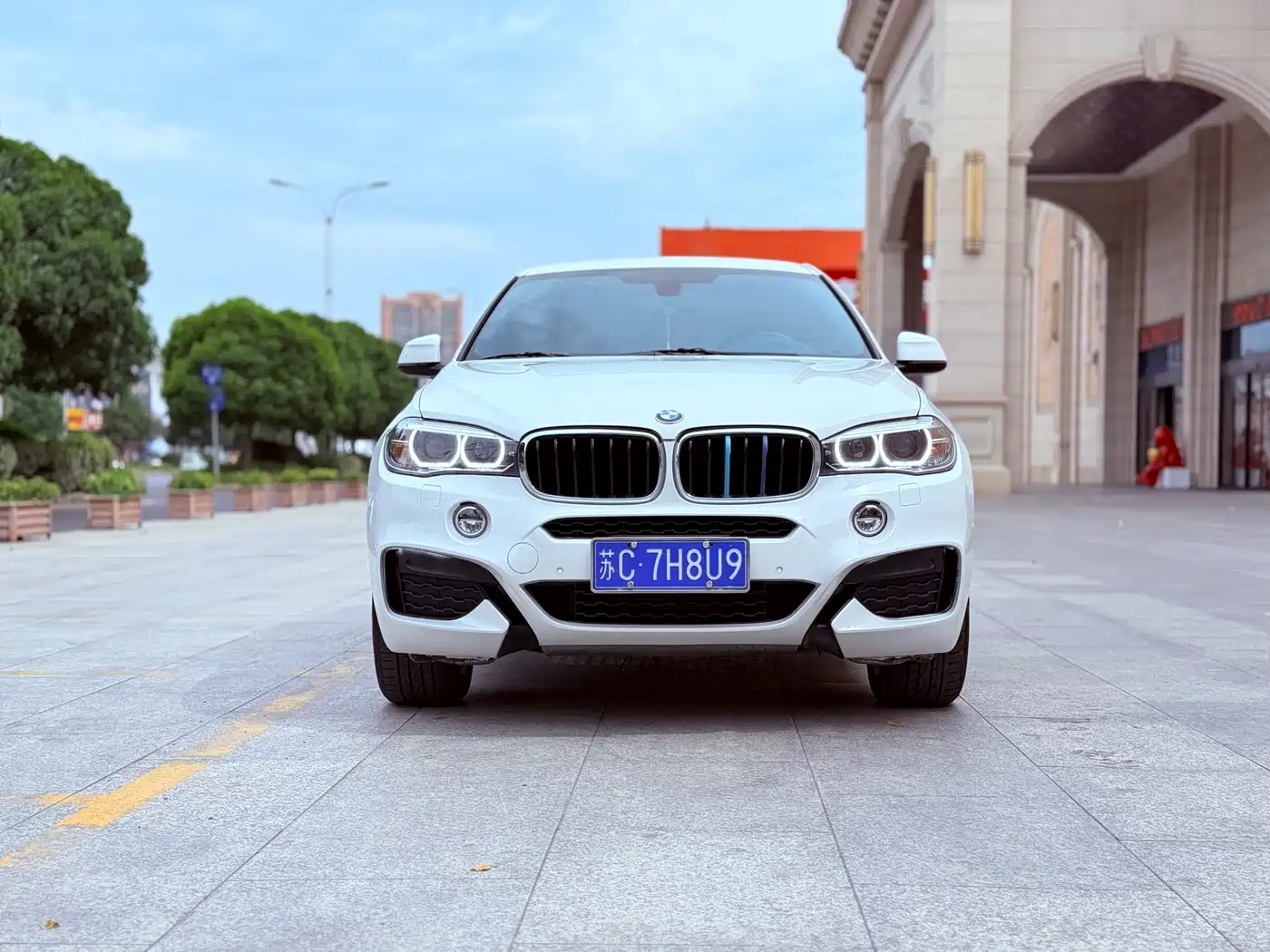 BMW X6 2017 xDrive35i Leading фото 2