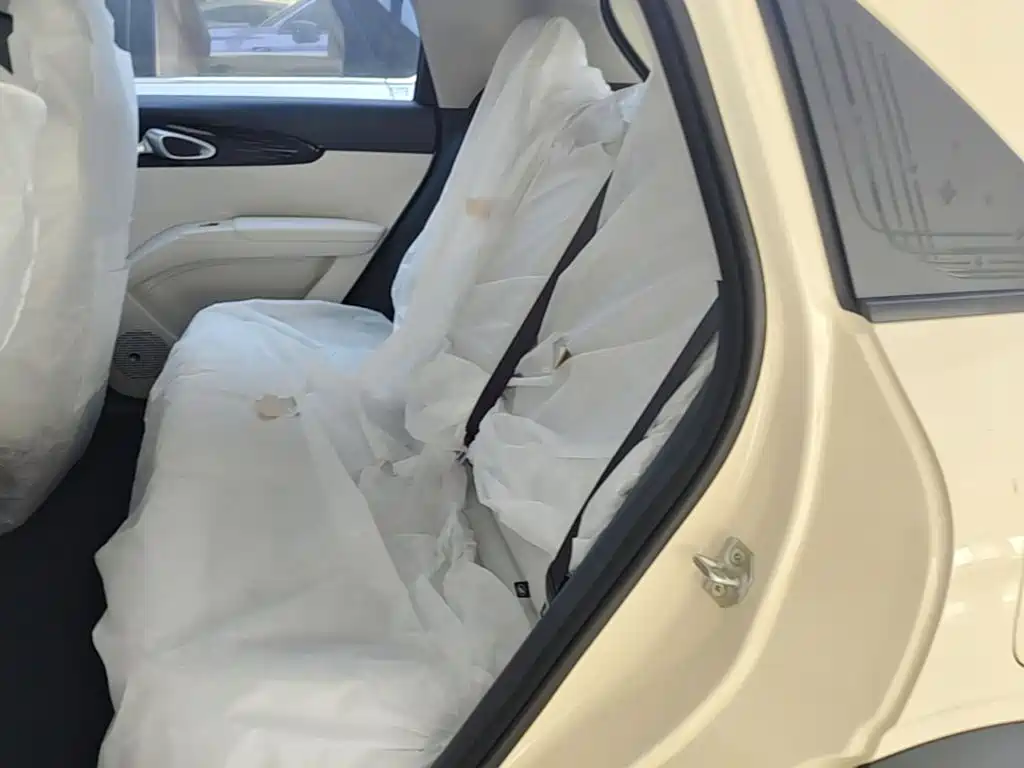Geely Galaxy Starry Wish 2026 2026 Model 310km Dream Edition