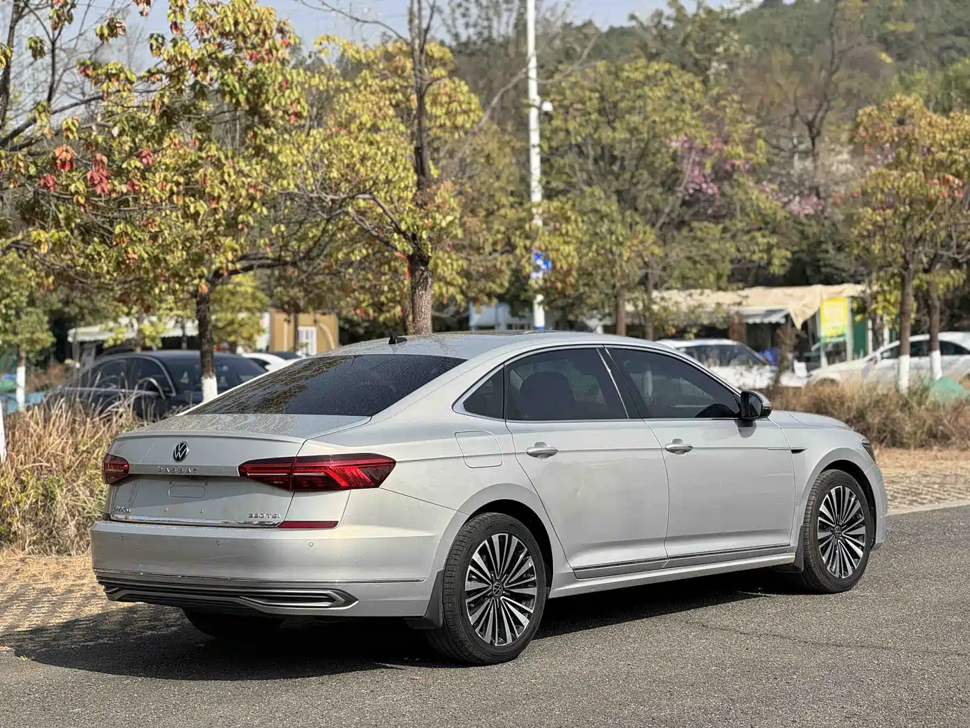 Volkswagen Passat 2019 330TSI Luxury Edition China VI фото 4