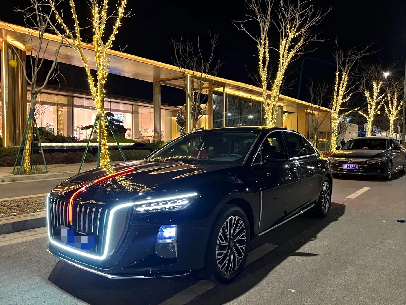 Hongqi H5 2024 2.0T Automatic Smart Connect Flag Smooth Edition