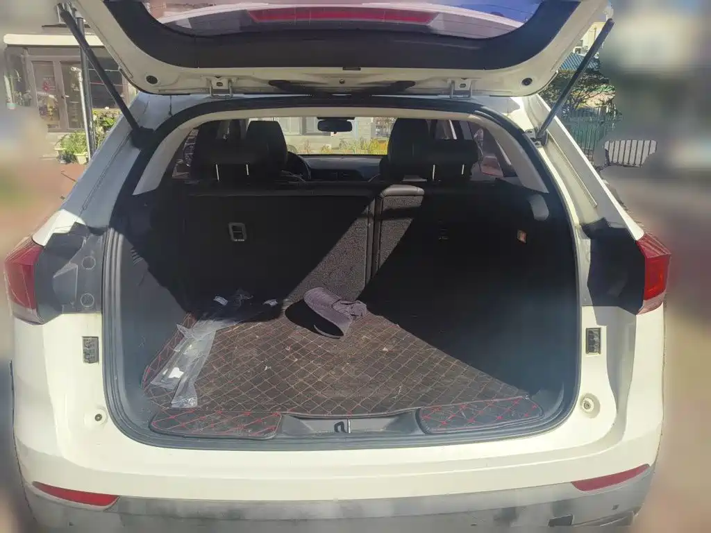 Haval H4 2019 2020 Enjoy Edition 1.5T DCT Smart