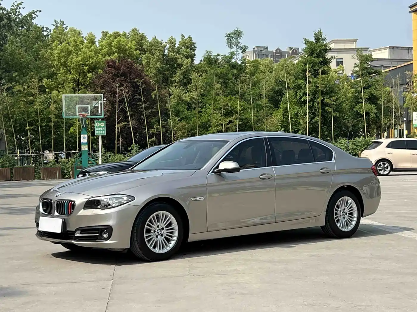 BMW 5 Series 2014 525Li Leading
