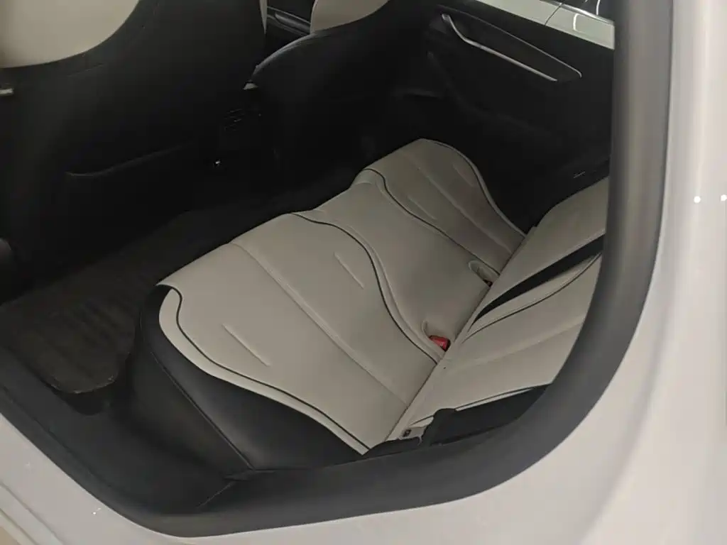 BYD Destroyer 05 2025 2024 Glory Edition DM-i 55KM Luxury