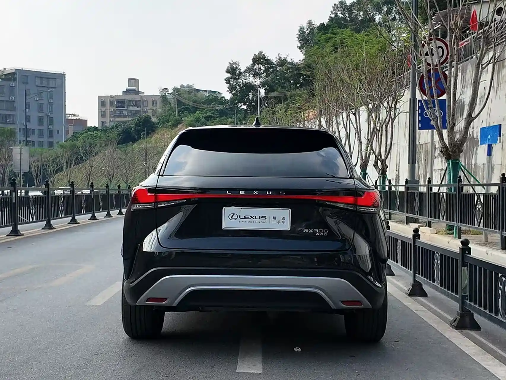 Фото 13 - Lexus RX