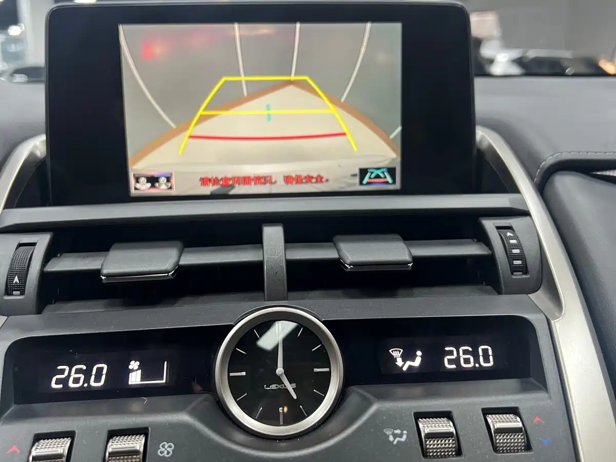 Lexus NX 2020 200 AWD F Sport China V фото 10
