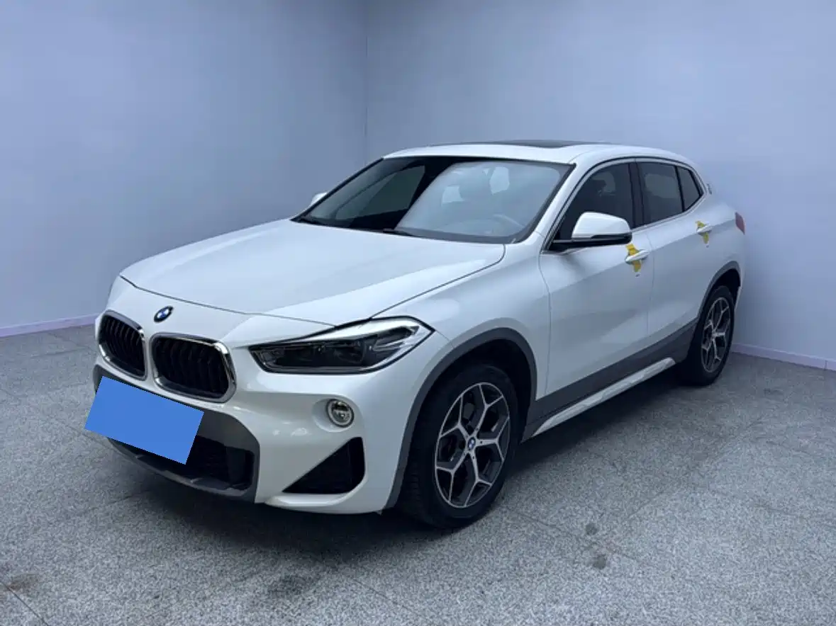 BMW X2 (Import) 2019 2019 sDrive20i M Off-Road Package China VI