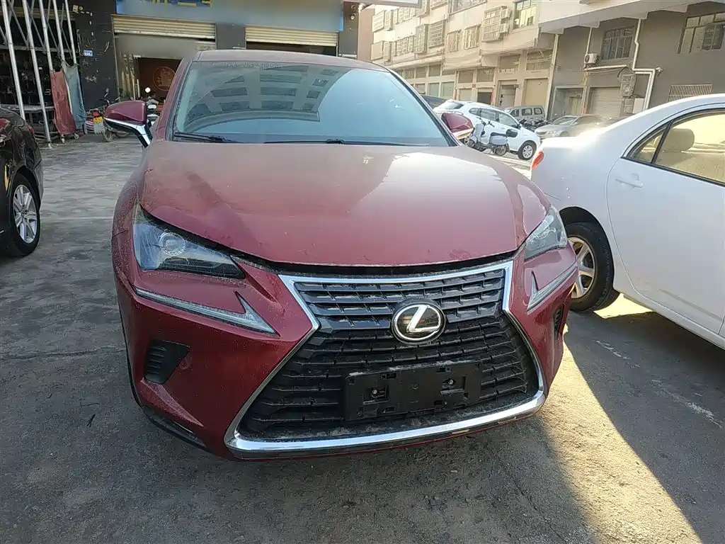 Lexus NX 2018 Model 200 FWD Fengxing Edition China V фото 19