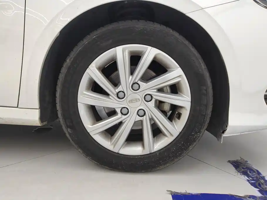 Фото 6 - Geely Binrui