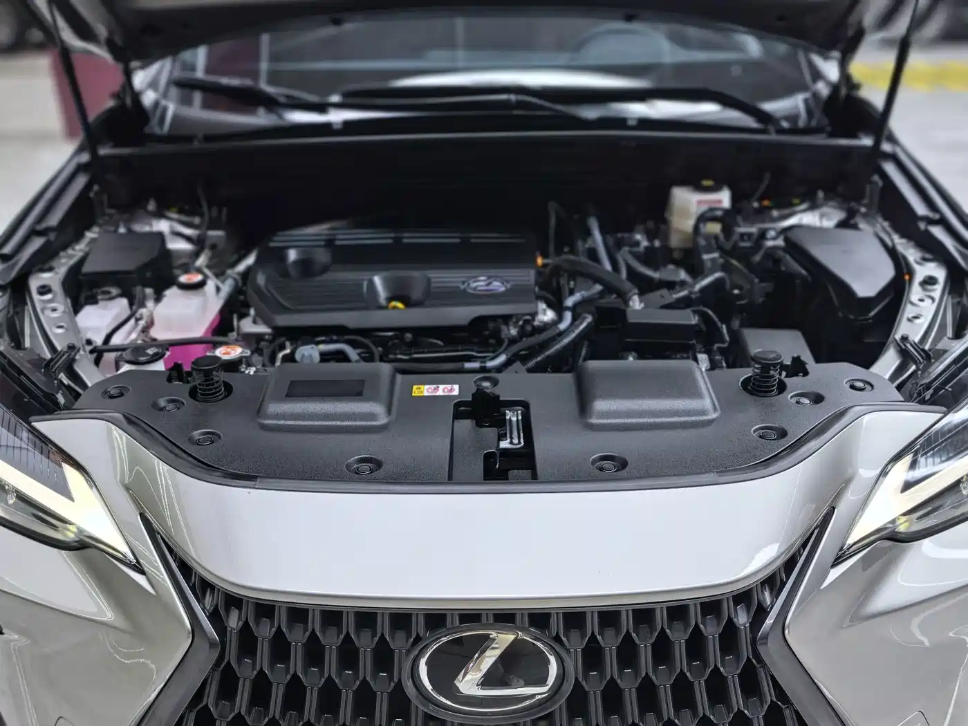 Lexus NX 2025 2024 350h FWD Innovation Edition