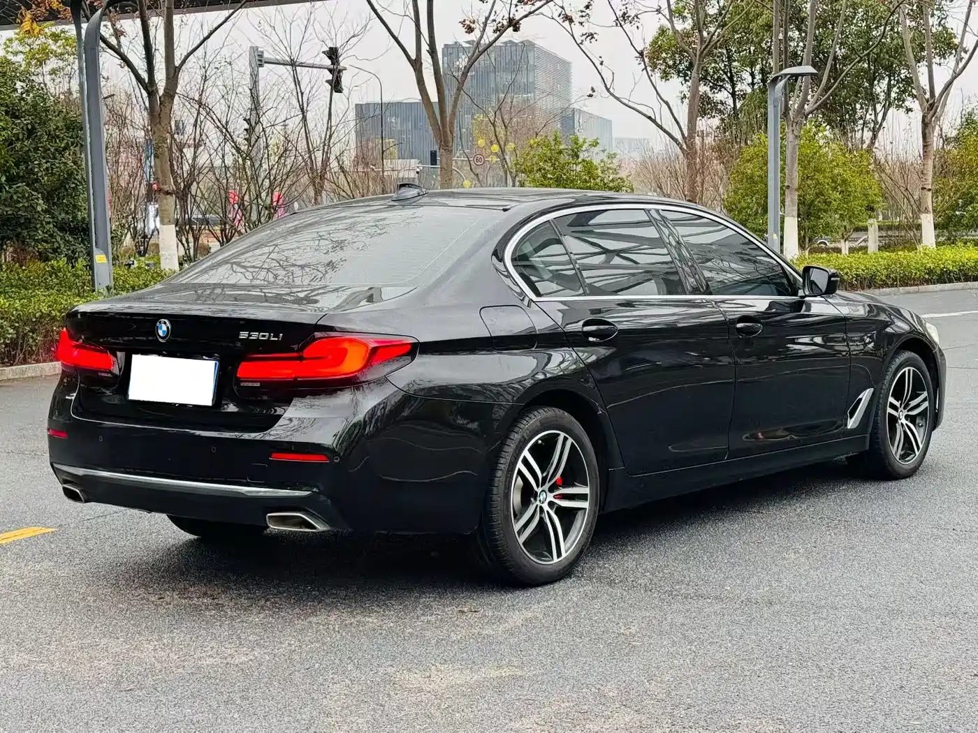 BMW 5 Series 2022 530Li Leading Luxury Package фото 9