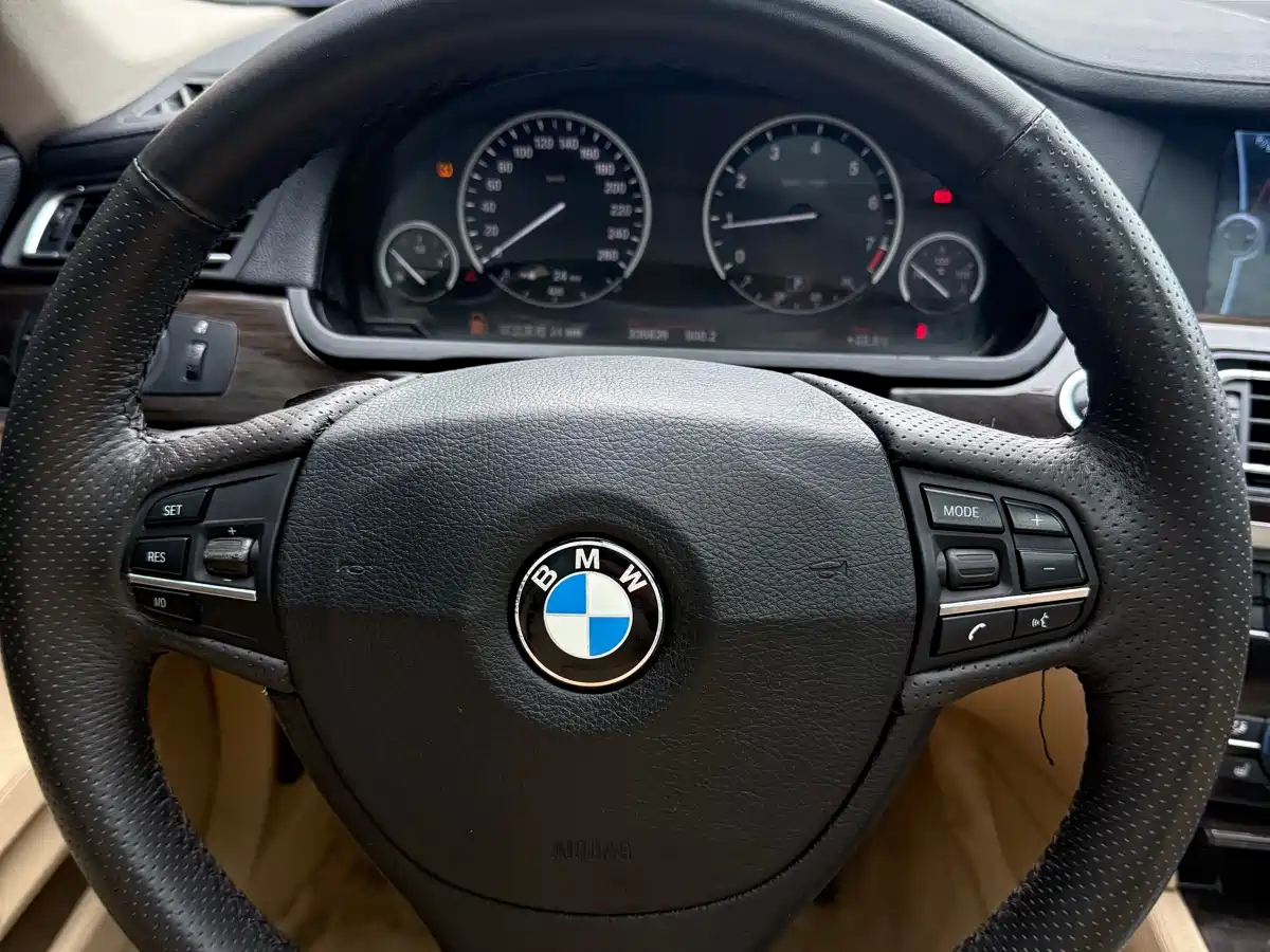 BMW 7 Series 2009 740Li Premium фото 10