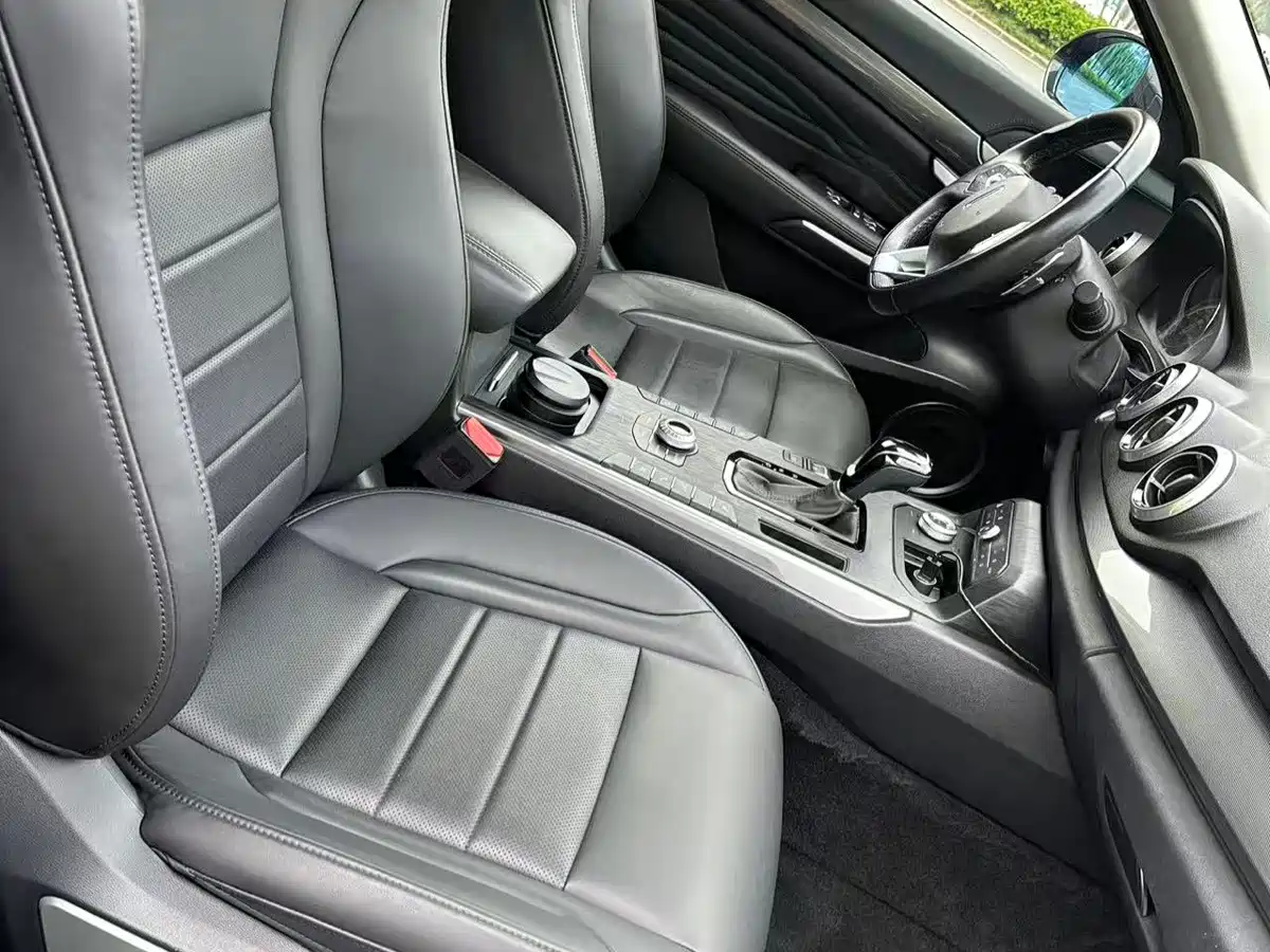 WEY P8 2018 2018 2.0T Flagship Model