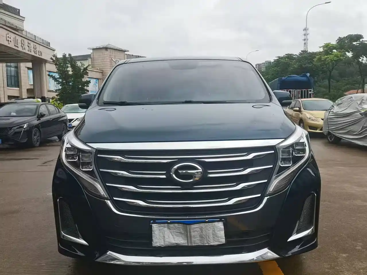 GAC Trumpchi Trumpchi M8 2020 Pilot 390T Prestige Edition фото 2