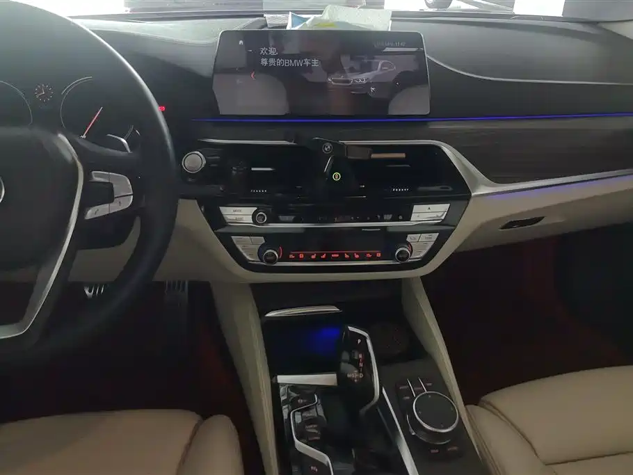 BMW 5 Series 2018 530Li xDrive Luxury Package фото 13