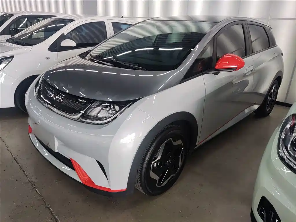 BYD Dolphin 2021 Model 405km Fashion Edition