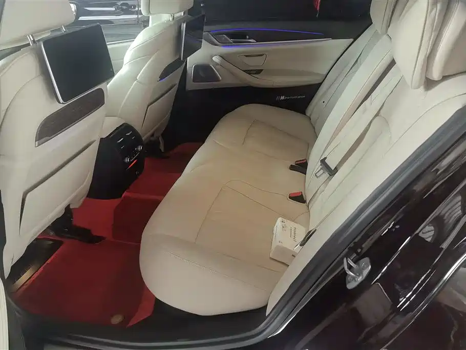 BMW 5 Series 2018 530Li xDrive Luxury Package фото 11