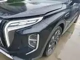صورة 24 - Hongqi HS7 PHEV